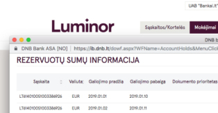 Luminor banko išrašas mini